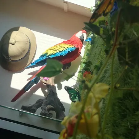 La Coloniale *